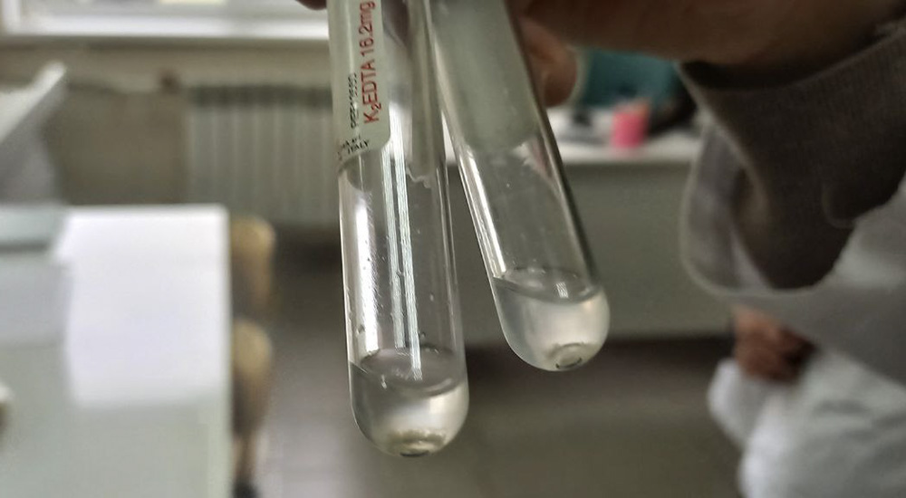 photo_2025-10-15_14-19-15 photo_2025-10-15_14-19-15