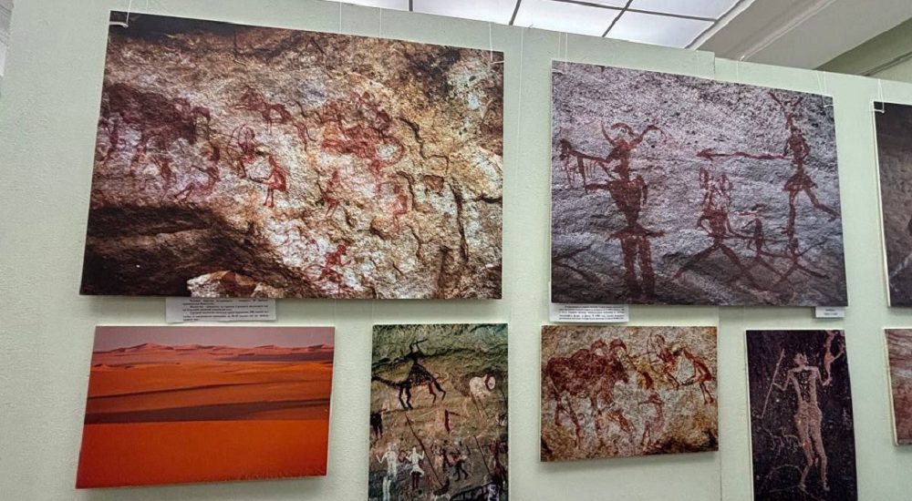 Выставка_1 Выставка_1