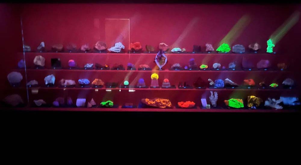 photo_2026-02-18_12-19-08